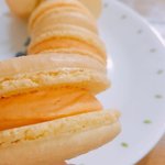 치즈<b>마카롱</b>먹고싶다잉