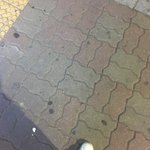 [댓글부탁해] 이모부 눈치 보여 주껏어