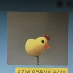 엥 울언니 ㅈㄴ어이없음