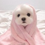 [드루와] 방금 남고딩들 대화ㄹㅇ반전 <b>오짐</b>ㅋㅋㅋㅋㅋ