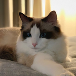 루카가 제니랑 결혼해서 <b>릴리</b>를 낳았어요