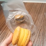 [사진ㅇ] 마카롱 ㅈㄴ맛있다