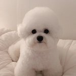 <b>전학</b> 가는데 화장 어느정도 해야 돼??