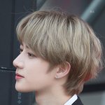 [TXT사진] 범규 지니 레드카펫 + 무대