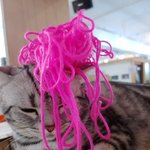 [댓글부탁해] <b>실뭉치</b> 고양이 귀엽다 추반