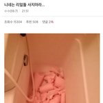 ㅅㅂ리얼돌 토막내서 버리고 비유 뭣같이 한 사람 찾음