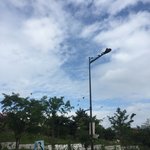 [드루와] 우리 할머니 전화하면서 우셨다..