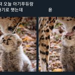 [NCT] 엔시티 제목<b>학원</b>