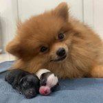 [댓글부탁해] 얘들아 처음만나는남자애 답장 도와줄사람 ㅠㅠㅠㅠ
