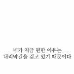 얘들아 <b>모트모트</b> 팔로한애 보면