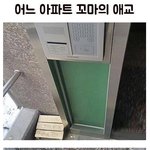 [모두드루와] 어느 아파트 <b>꼬마</b>의 애교