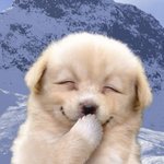 흡연여성을 차단해야하는 이유