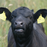 와! 선크림 재대로 안바르고 놀다 <b>흑우</b>됐다