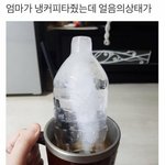 [댓글부탁해] 우리동네 여자들만 키<b>작음</b>??