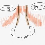 좀 <b>발랄</b>해보이는 블러셔방법