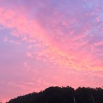 [댓글부탁해] 근데의사<b>약사</b>되는게그렇게어려움?