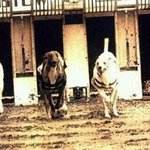 [드루와] 현역 고3들이 착각하는 거ㄹㅇ