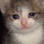 아이돌 덕질 궁금한거 있는사람