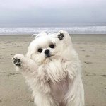 썸에서 연애로 가는 <b>한방</b> 뭐라고 생각해?