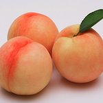 [드루와] 딱<b>복</b> vs <b>물복</b>