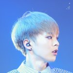 [EXO] 내글 그냥 지워졌어