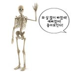 학교에 <b>목각</b>폰 내는사람