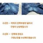 [댓글부탁해] 날씬한 사람들은 모르는 <b>하비</b>의 슬픔