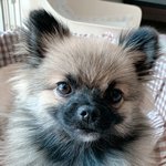 나 진짜 너무 설렌다ㅠㅠ