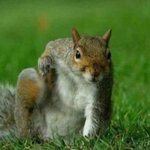 [TXT사진] <b>연두콩</b> 범규를 보라...!