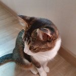 다<b>롱이</b>^^