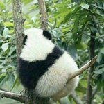 점심<b>이당</b>