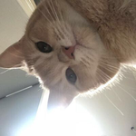 애<b>니나</b> 만화좋아하는애들아