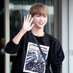 [강다니엘] <b>기사</b>+<b>플</b>뷰 뜨는중