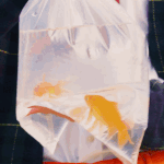 [강다니엘] <b>VOGUE</b> 9월호 커버모델 강다니엘❤❤❤