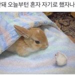 [댓글부탁해] 얘들아 <b>구멍</b>없는 여드름 어떡해?ㅠㅠ