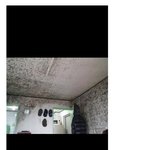 [댓글부탁해] <b>반지하</b> 살면 안되는 이유