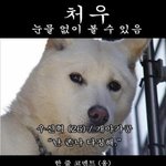 [BL] <b>처우</b> 읽은 사람 있어?