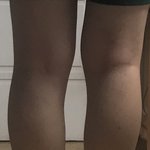 다리 유형