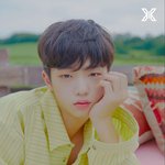 [프듀X] 손<b>동표</b>