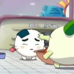 [댓글부탁해] <b>옥동자</b> 메가톤바 와일드바디 까망쿤 좋아