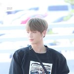 [강다니엘] 강다니엘 어깨...