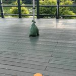 [댓글부탁해] 오늘 공휴일인데 동대문 <b>크레페</b> 할아버지