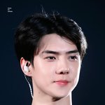 [EXO] 오삐약 <b>VS</b> 윌리스