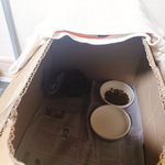 <b>집사</b> 1일차예욧~~