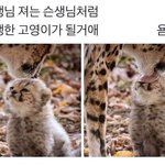 톡선에 <b>향수</b> 얘기 있어서 그러는데 나 <b>향수</b> 추천해줄 사람??