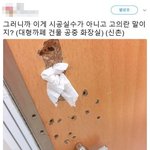 [19] <b>여자화장실</b> 몰카의 심각성