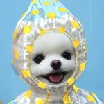 [모두드루와] 최병찬 프듀<b>하차</b>이유가 그래서