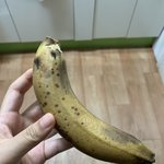 [드루와] 엄마몰래 라면먹고 바나나 <b>조진</b> 후기