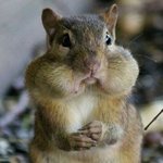 [드루와] 지금 잘껀데