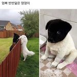 [드루와] 와 나 어떡하지 상하나도 없어